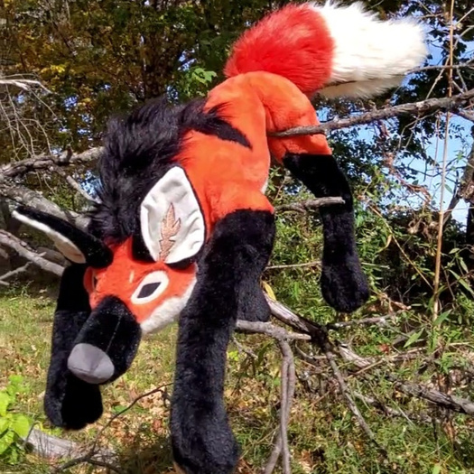 Mini Kobold Mini Kobold