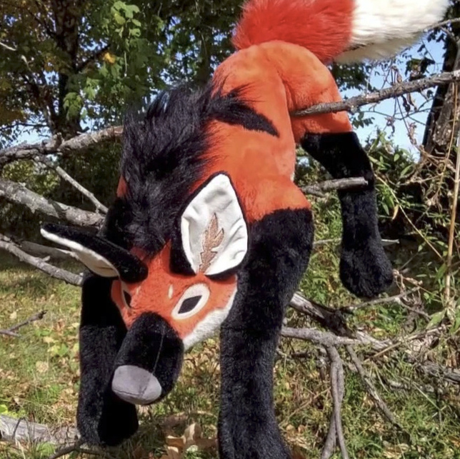 Half-of-Life Size Maned Wolf