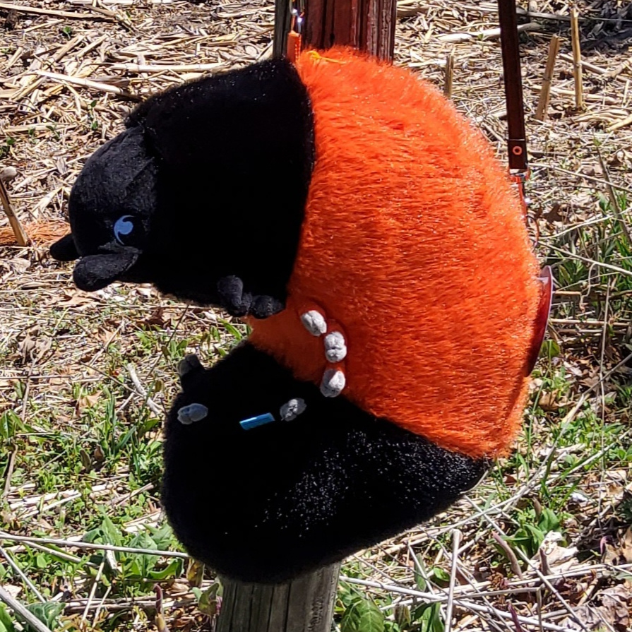 Woolly Bear Bag