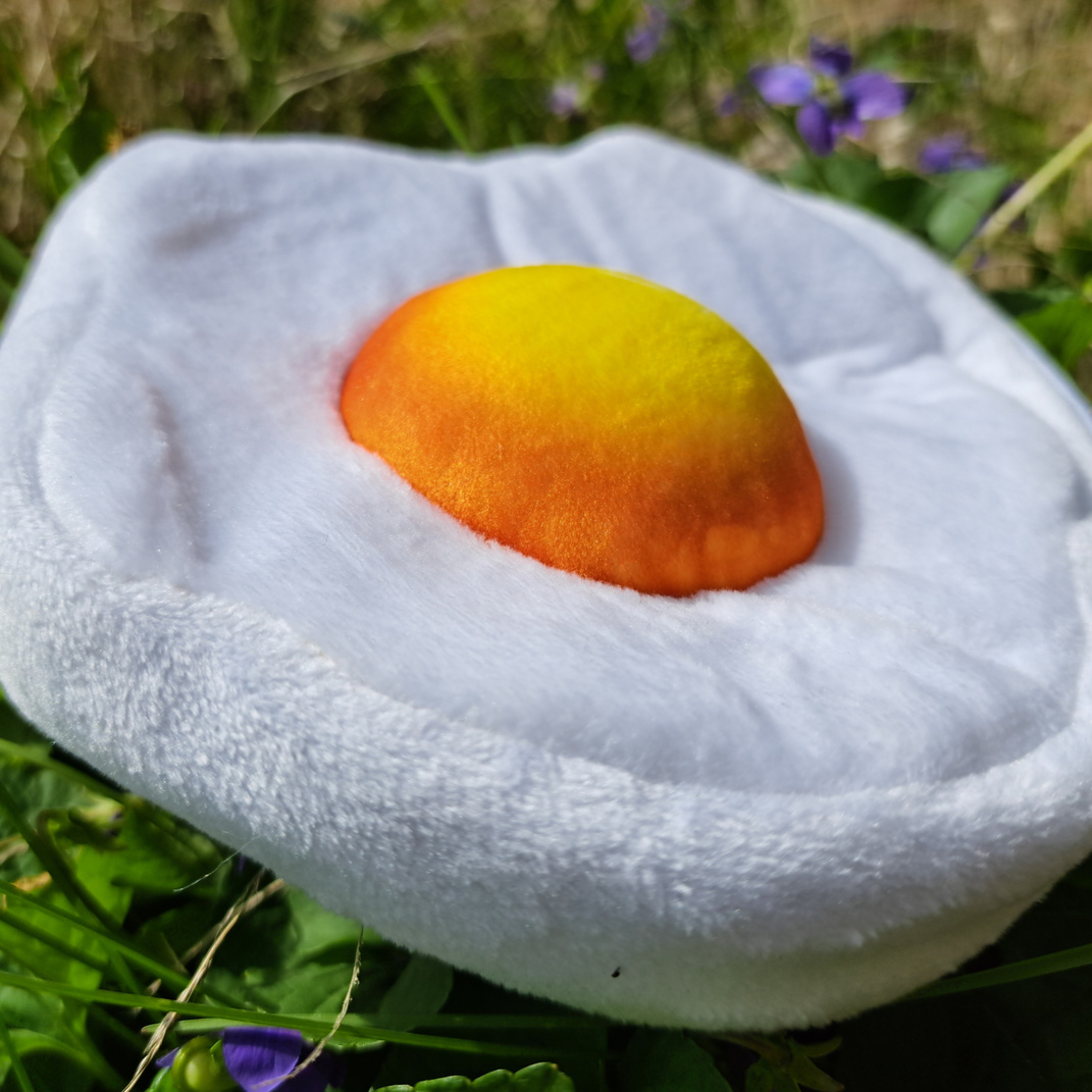 Egg Pouch
